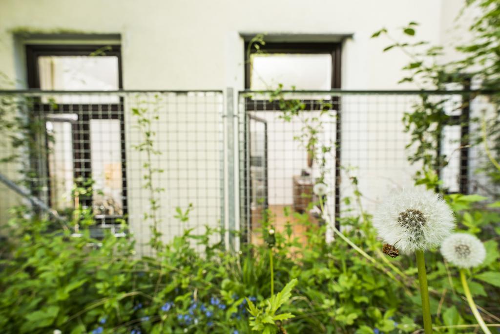 Chillout Lounge Satzberg Apartman Bécs Kültér fotó